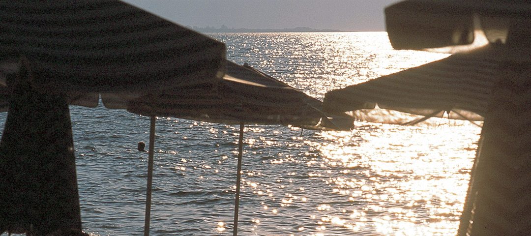 Γεράνι Κρήτης