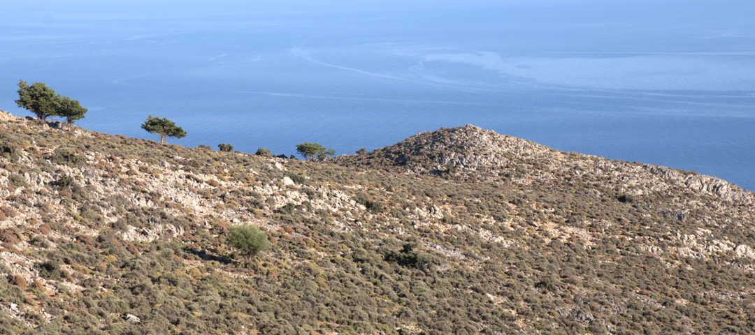 Αρχαία Έλυρος Χανίων